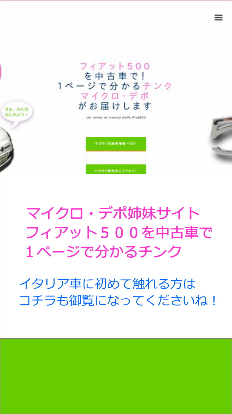 フィアット５００を中古車で・・・１ページで分かるチンク